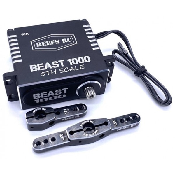 Reef's RC Beast 1000 1/5th Scale HT High Speed Servo w/ Horn